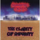 SUMMERTIME DAISIES -- The Clarity of Impurity + Demos  CD