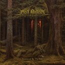 CÂN BARDD -- Devoured by the Oak  CD  JEWELCASE