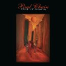 PAUL CHAIN -- Park of Reason  SPLIPCASE  CD
