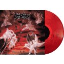 IMMOLATION -- Dawn of Possession  LP  MARBLED