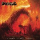 SKELETHAL -- Within Corrosive Continuums  CD  JEWELCASE