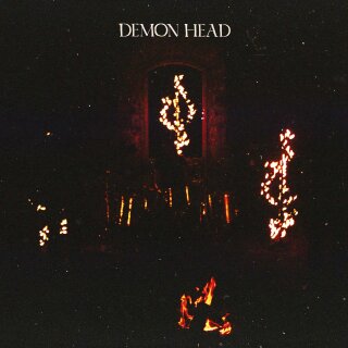 DEMON HEAD -- Through Holes Shine the Stars  CD