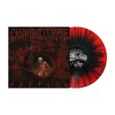 CANNIBAL CORPSE -- Torture  LP  RED BLACK SPLATTER