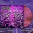 CIVEROUS -- Maze Envy  LP  "GLASS OF PORT"