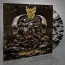 DEFEATED SANITY -- Chronicles of Lunacy  LP  SPLATTERED