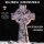 BLACK SABBATH -- Headless Cross  CD