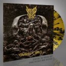 DEFEATED SANITY -- Chronicles of Lunacy  LP  YELLOW SPLATTER