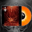 MYSTIFIER -- Demystifying the Mystified Ones ...  LP  ORANGE SPLATTER